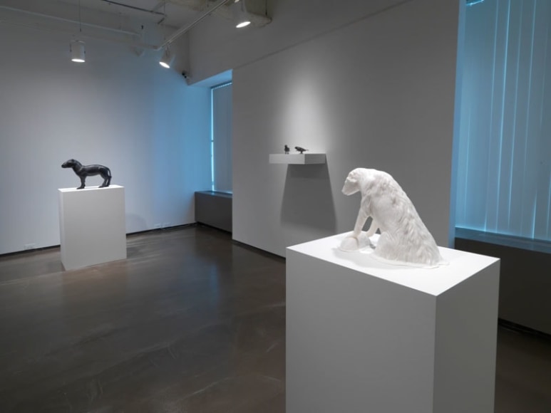 Chicago installation