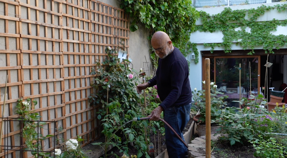 INTERVIEW WITH JIM DINE ON THE BOTANICAL DRAWINGS