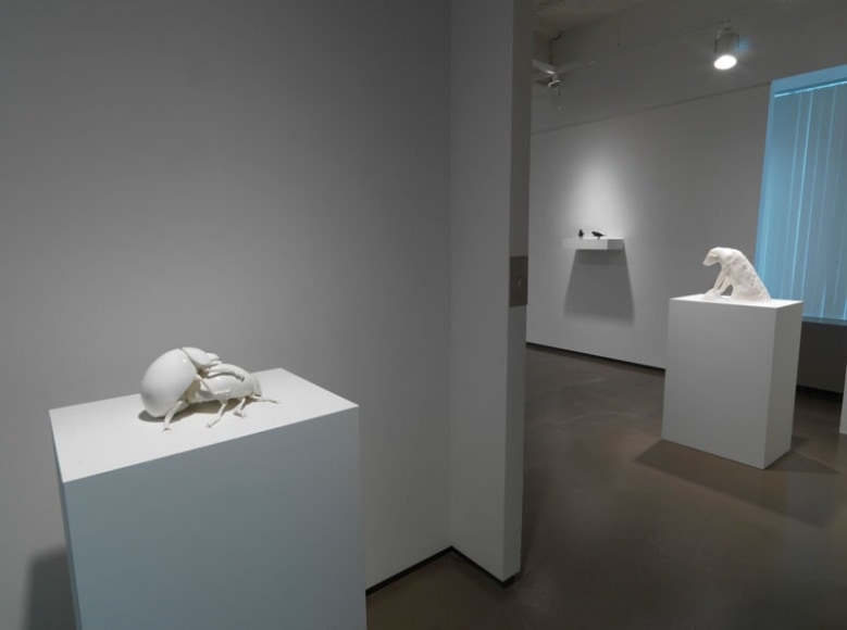Chicago installation