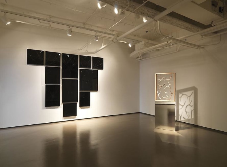 Installation view