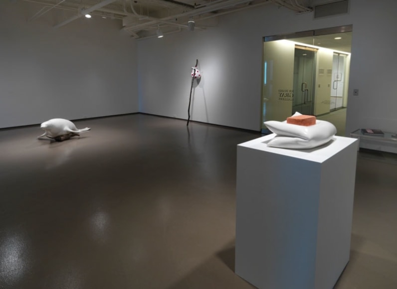 Chicago installation