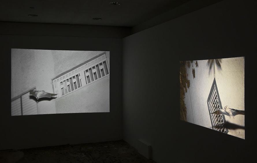 Bats, 2002-2007 Two-channel slide projection of eighty 35mm slides onto adjacent walls