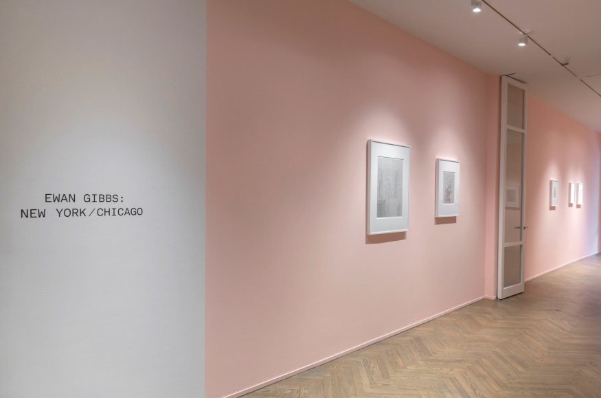 Installation view of Ewan Gibbs: New York / Chicago, 2019, Richard Gray Gallery, New York.