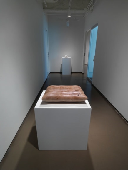 Chicago installation