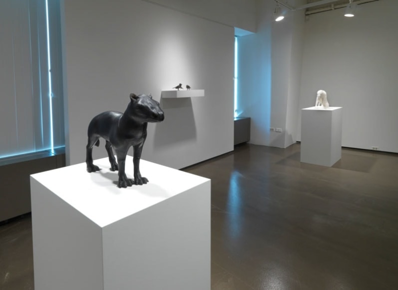 Chicago installation