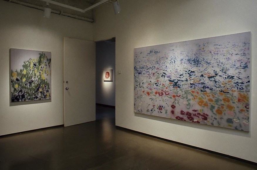 Installation view