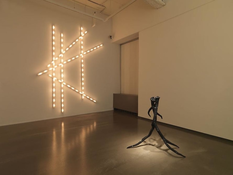Installation view