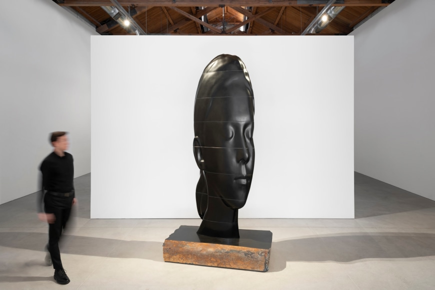 Jaume Plensa