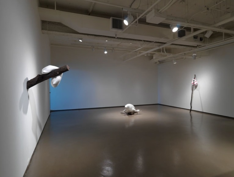 Chicago installation