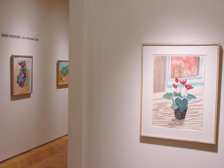 David Hockney