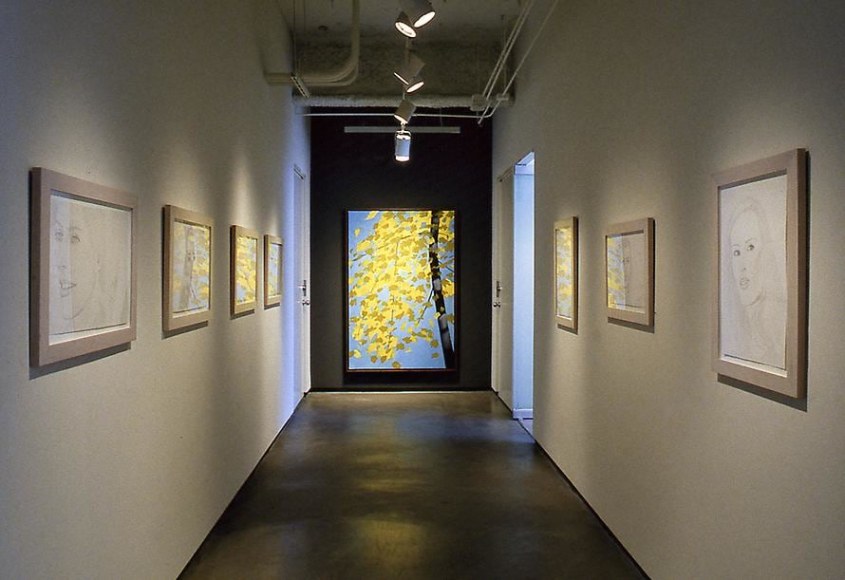 Installation view