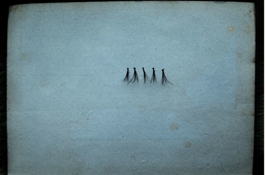 Established Bliss, 2019, Archival Pigment Print