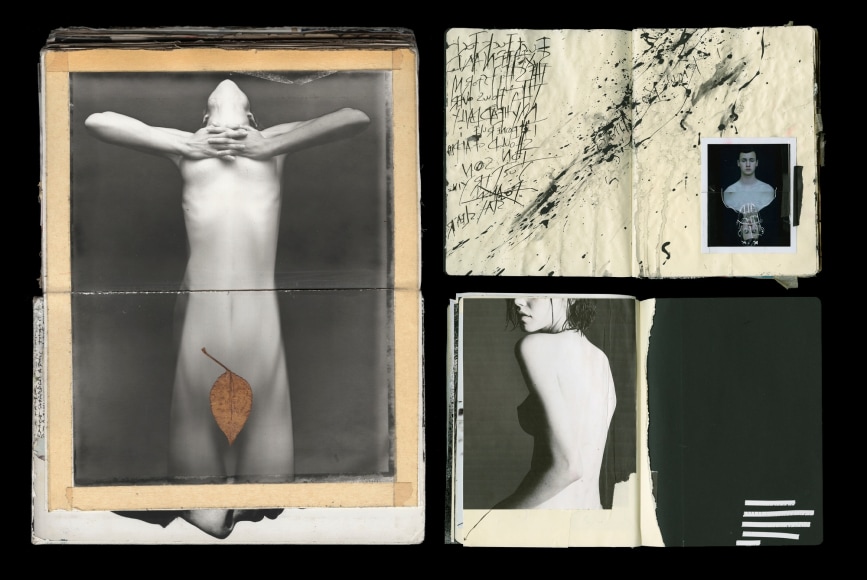 &ldquo;Fall, Scattered Mind, 5 White Lines&rdquo;