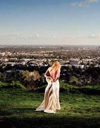 David Drebin