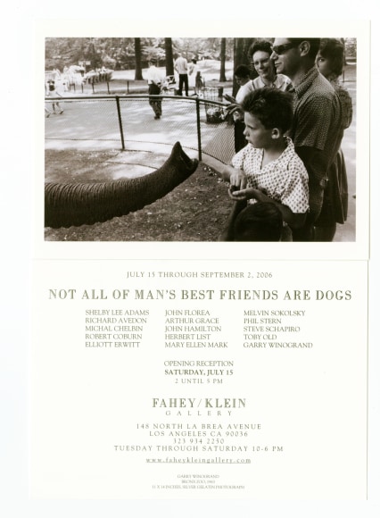 Not All of Man's Best Friend's Are Dogs