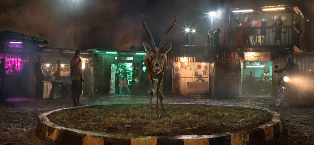 Roundabout with Gazelle, 2018, Archival Pigment Print