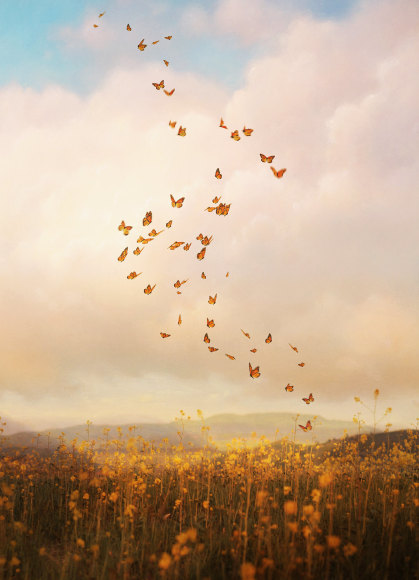 Going Home, 2018, Archival Pigment Print