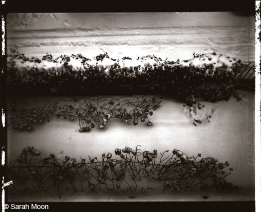To Mike, 1986, 15-3/4 x 19-1/2 Toned Silver Gelatin Photograh, Ed. 20
