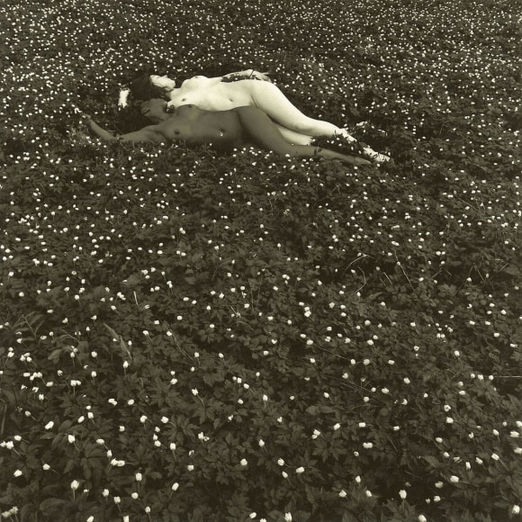 Flor Garduno
