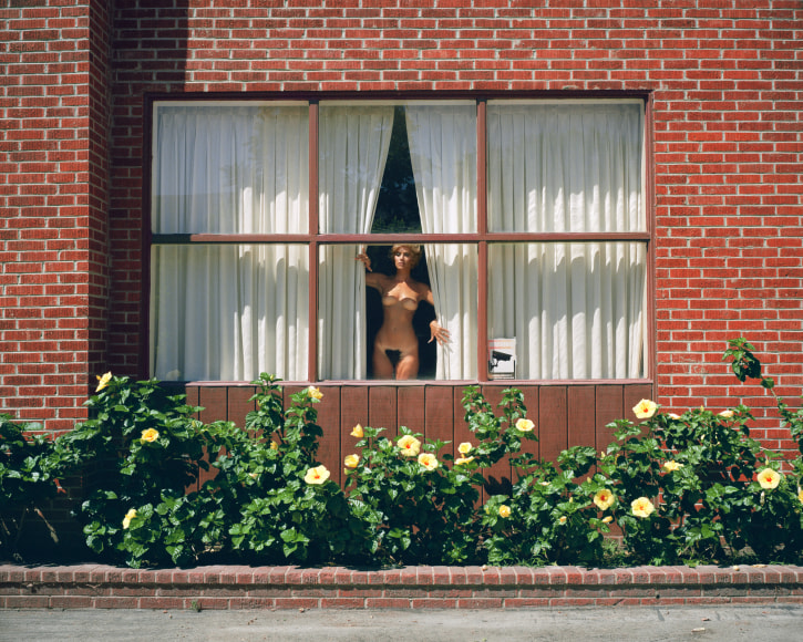 Lilly, Hollywood, California, Chromogenic print