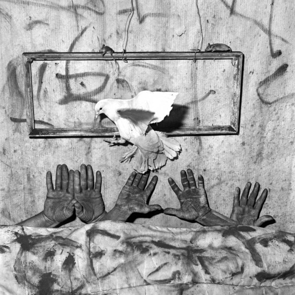 Five Hands, 2006, Silver Gelatin Photograph