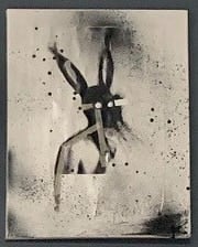 Spatter Bunny Acrylic,ink, and tape on canvas