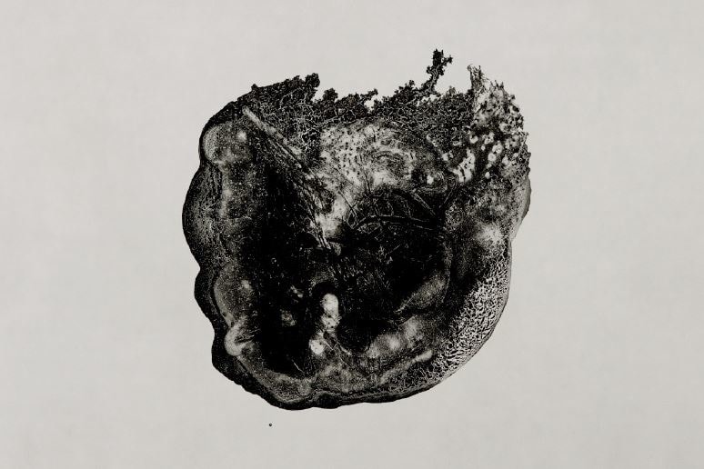 The Bequest, 2019, Archival Pigment Print