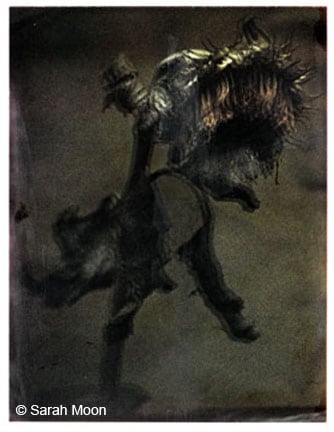Le Tounesol, 2009, 15-3/4 x 19-1/2 Toned Silver Gelatin Photograh, Ed. 20
