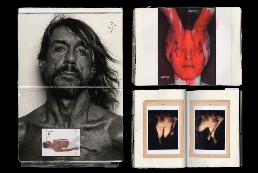 &ldquo;Iggy, All Thumbs, 274-275&rdquo;