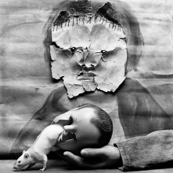 Startled, 2014, Silver Gelatin Photograph