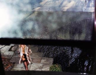 David Drebin