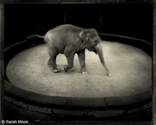 La Piste, 2007, 15-3/4 x 19-1/2 Toned Silver Gelatin Photograph, Ed. 20