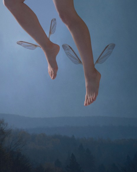 Migration, 2017, Archival Pigment Print