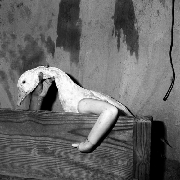 One Arm Goose, 2004, Silver Gelatin Photograph