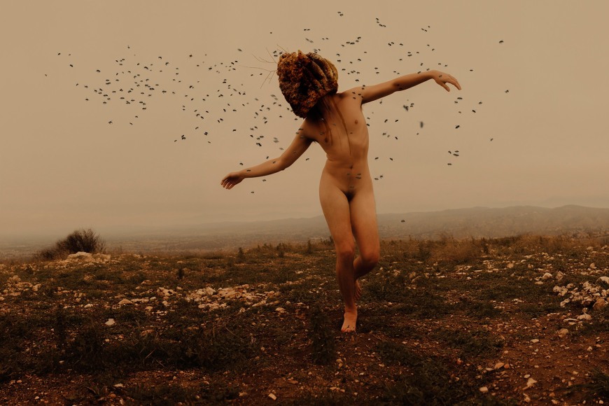 A Distant Buzzing, 2019, Archival Pigment Print