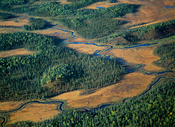 Robert Glenn Ketchum