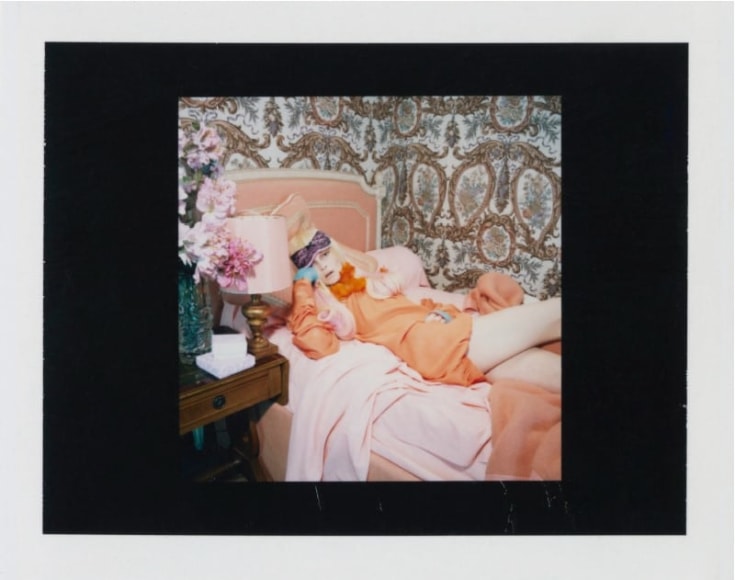 Cat Story - study VI, 2008