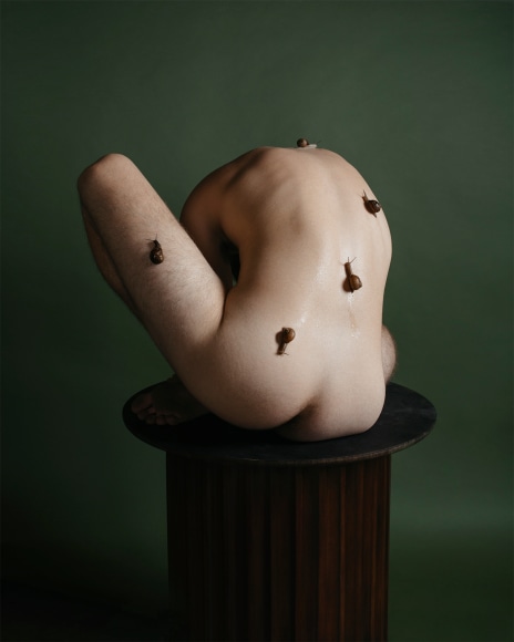 Morpho, 2017, Archival Pigment Print