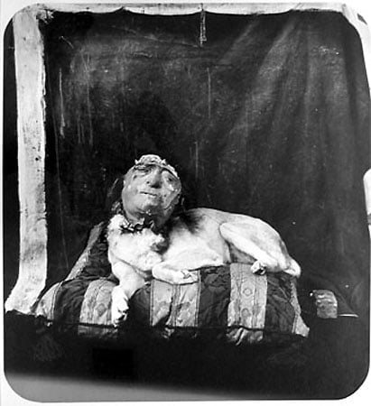 Dog On A Pillow, Marseilles, 1994