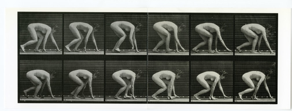 Harold Edgerton / Eadweard Muybridge