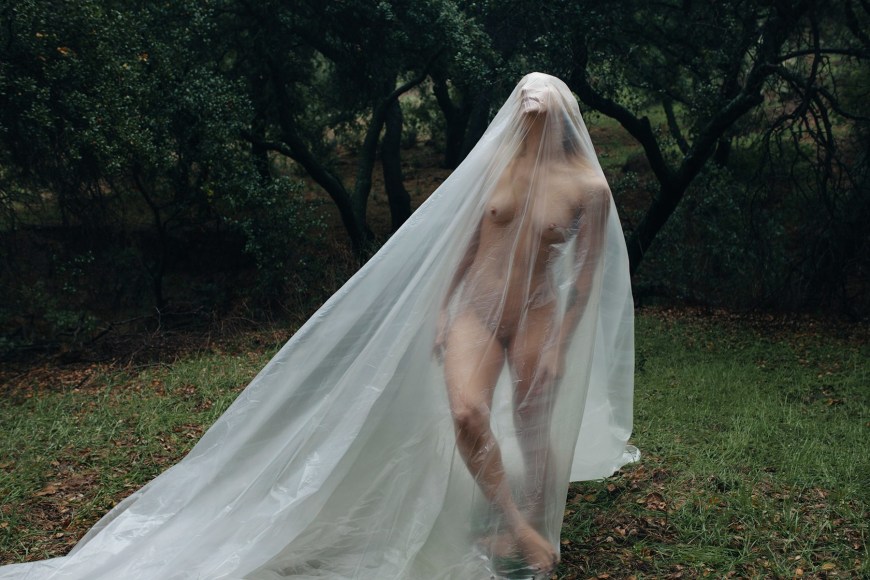 Open Cocoon, 2016, Archival Pigment Print