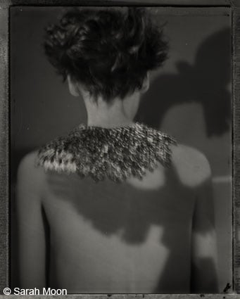 La menace, 2008, 15-3/4 x 19-1/2 Toned Silver Gelatin Photograh, Ed. 20