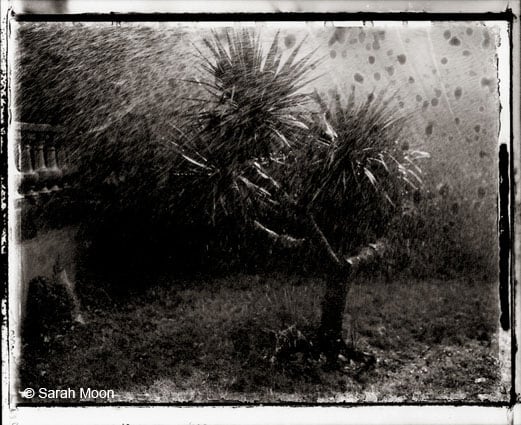 Le Yuca, 1988, 15-3/4 x 19-1/2 Toned Silver Gelatin Photograh, Ed. 20