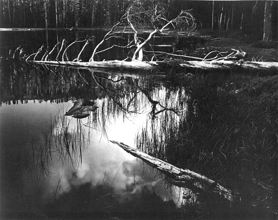 Ansel Adams Siesta Lake, Yosemite National Park, California, 1958