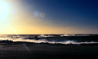 David Drebin