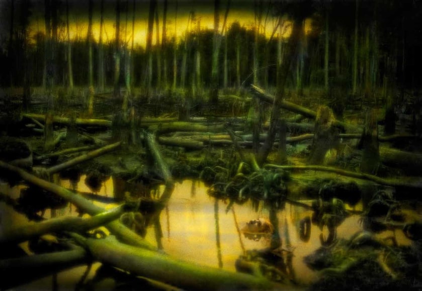 Dumped, 2010 Hand Tinted Pigment Print on Archival Paper