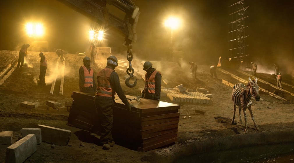 Highway Construction with Young Zebra (The Coffin), 2018, Archival Pigment Print