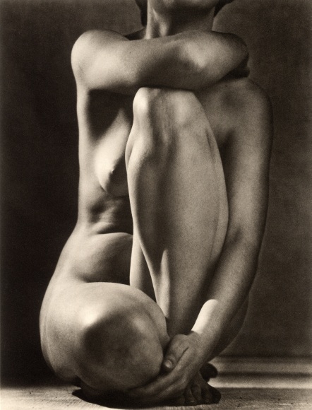 Ruth Bernhard - Classic Torso, 1952