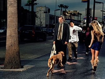 David Drebin