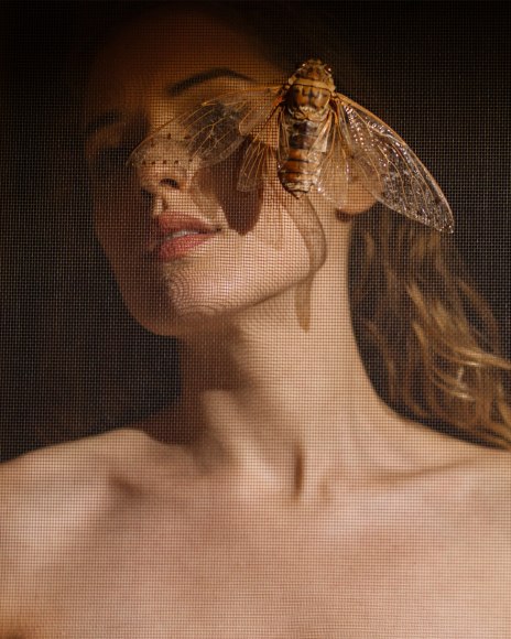 Boundaries, 2017, Archival Pigment Print